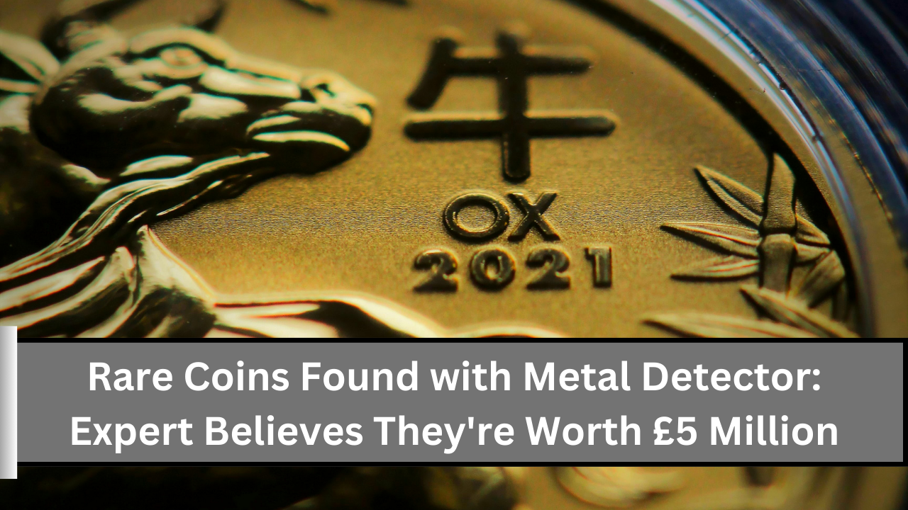 Rare Coins Found with Metal Detector Expert Believes They're Worth £5 Million